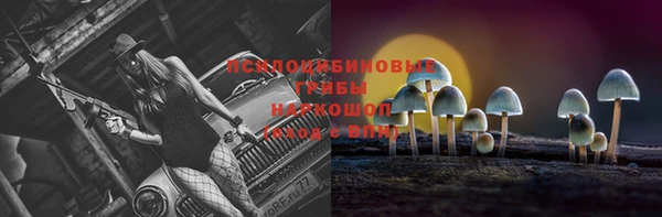прущие грибы Абдулино