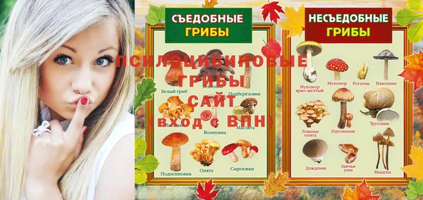 стафф Остров