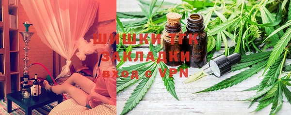 прущие грибы Абдулино