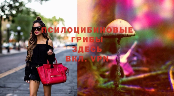 тгк Абинск