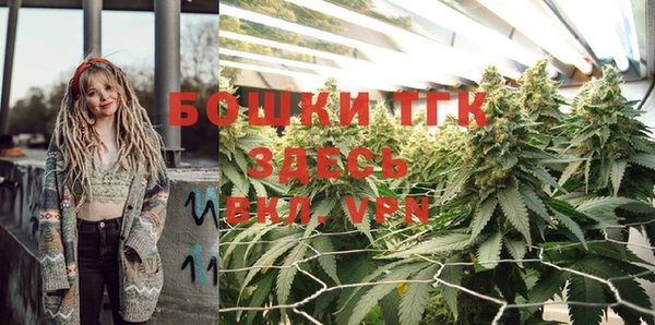 тгк Абинск