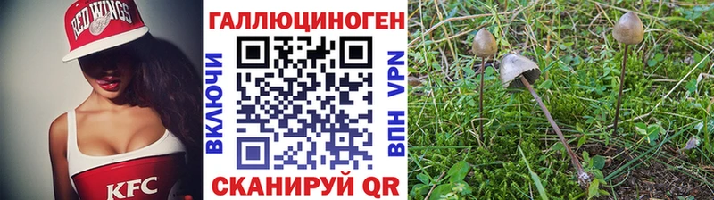 Галлюциногенные грибы GOLDEN TEACHER  Терек 